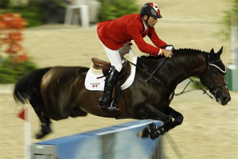 olympische spiele pferd gequält